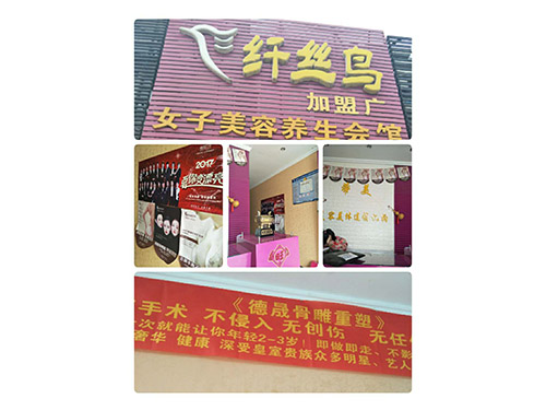 纤丝鸟
